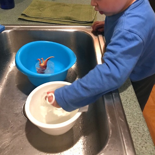 A boy plays with water and scoops