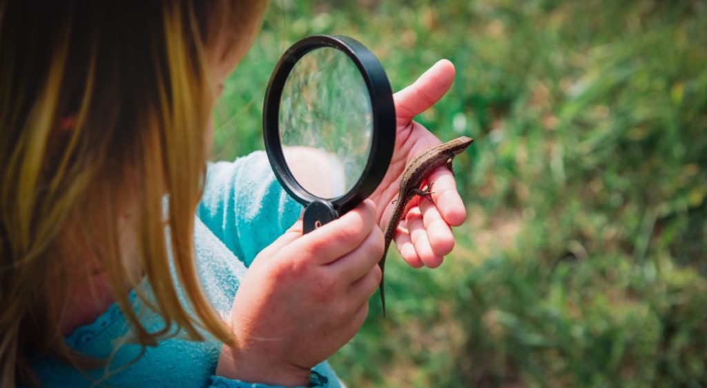 A girl uses a magnifying glass for kids