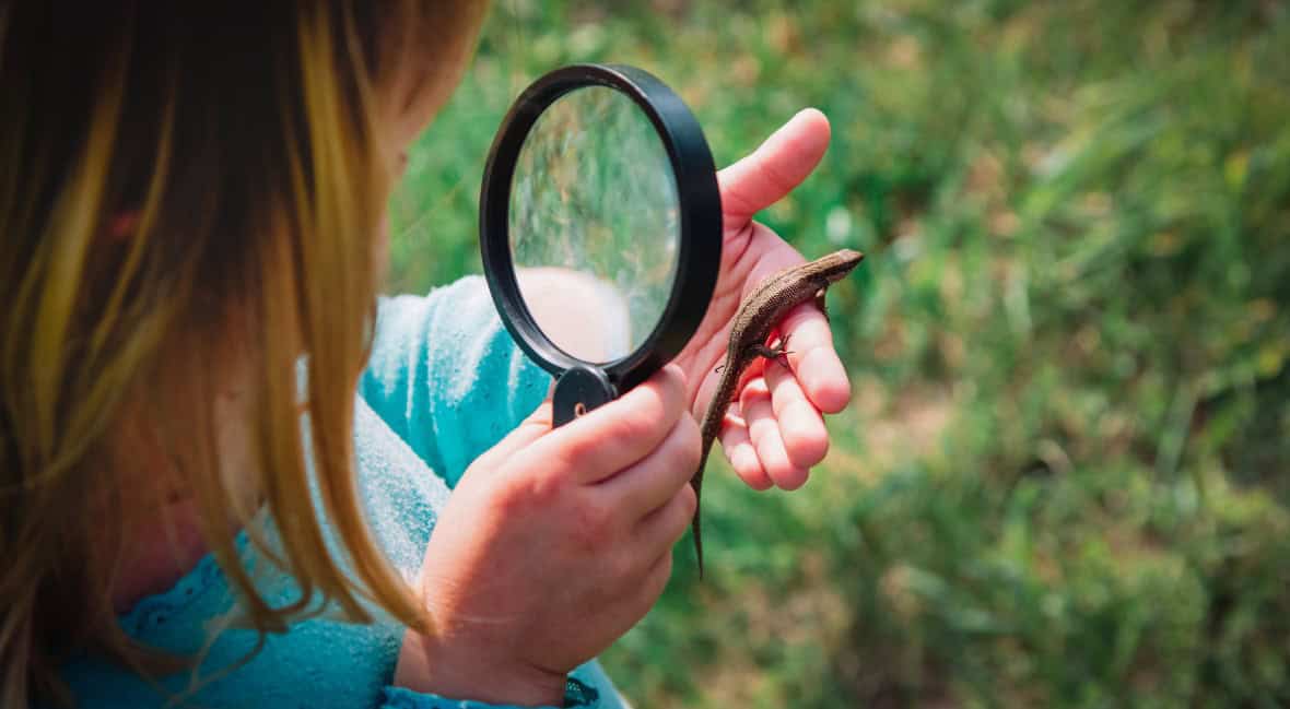 Top 7 Magnifying Glasses for Kids - Kids Who Play