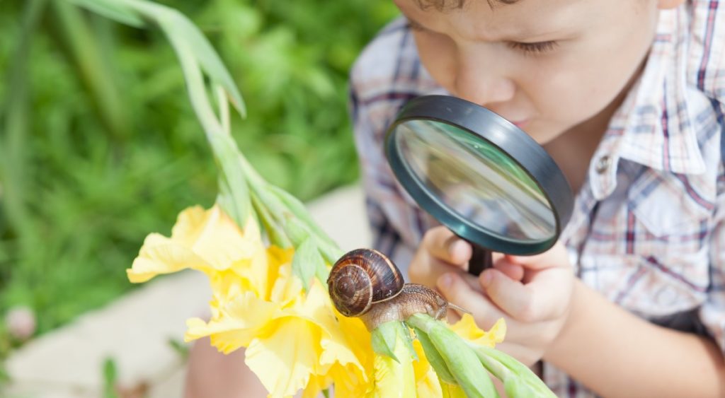 I boy uses a magnifying glass for kids to look at a snail. 