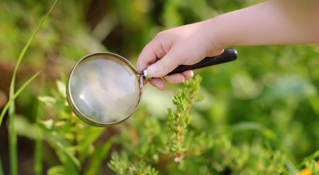 kids magnifying glass