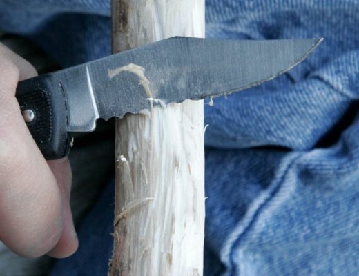 A boy uses a pocket knife for kids to cut a stick.