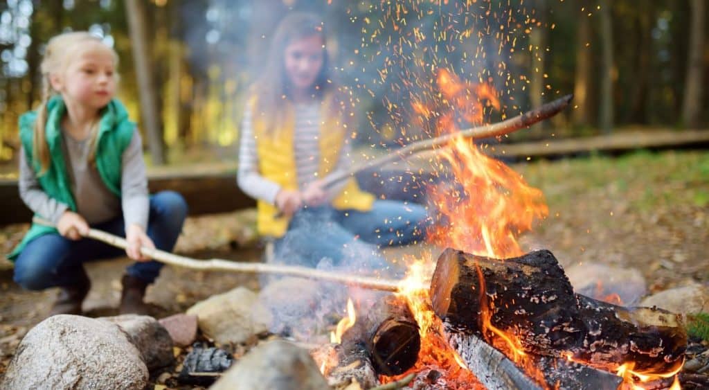 kids and a campfire