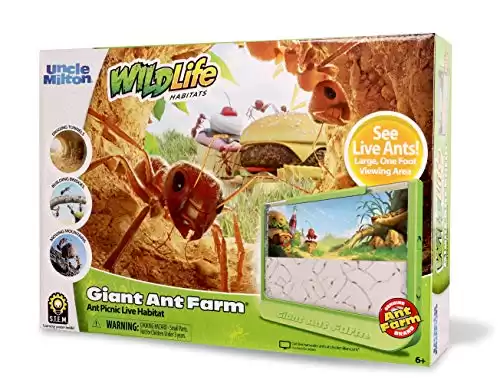 Giant Ant Farm