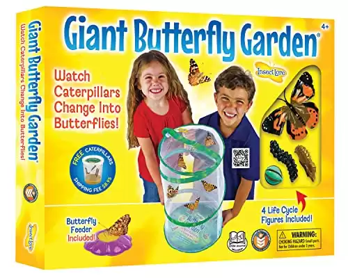 Giant Butterfly Garden Kit