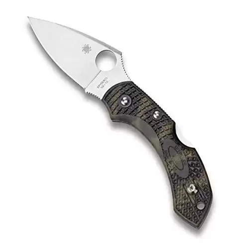 Spyderco Dragonfly 2 Lightweight Signature Knife with 2.3" VG-10 Steel Blade and High-Strength Zome Green FRN Handle - PlainEdge - C28ZFPGR2