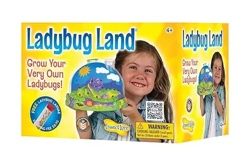 Ladybug Kit