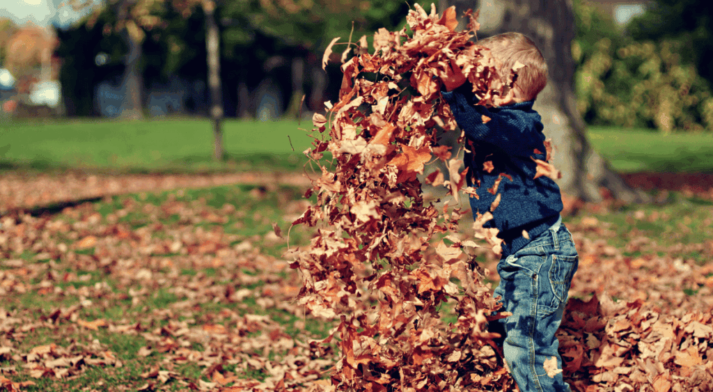 kid jumping in leaves for thanksgiving