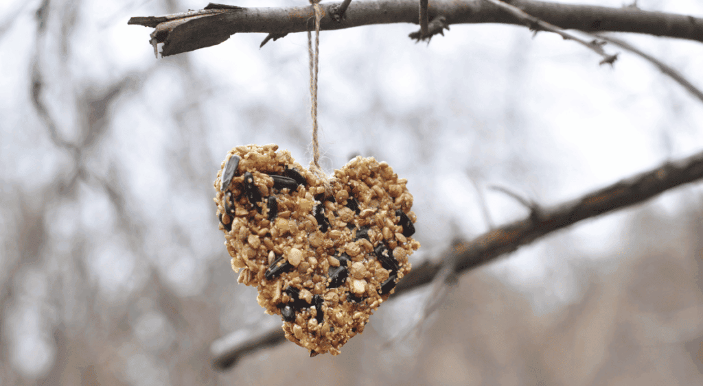 Bird seed ornament 