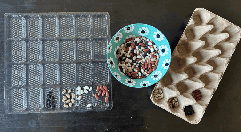sorting activity for kids