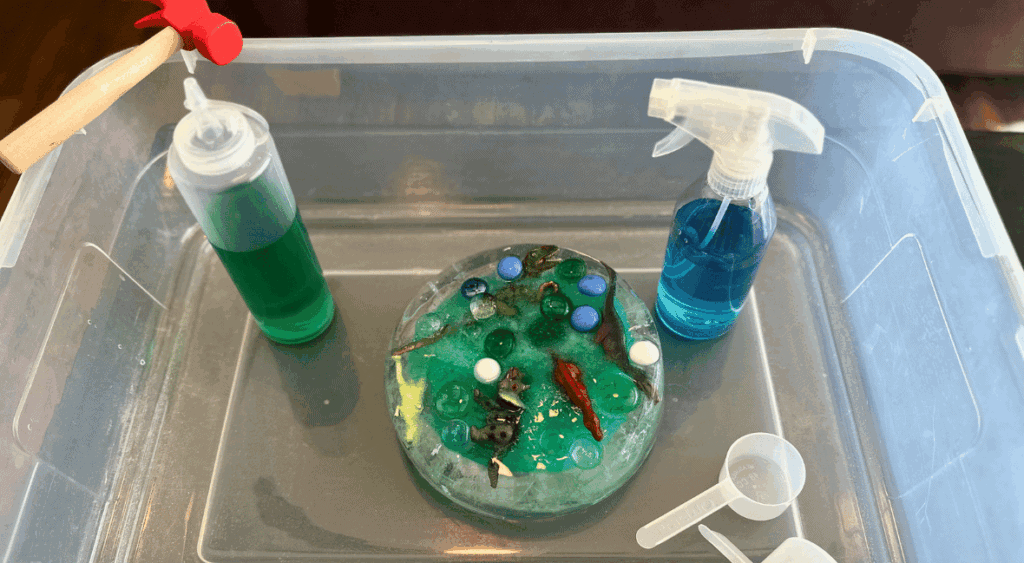 sensory activity