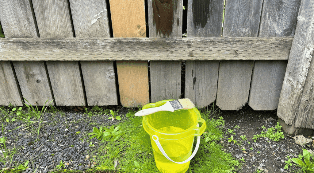 water and fence painting