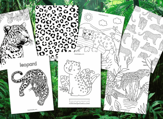 leopard coloring pages for kids