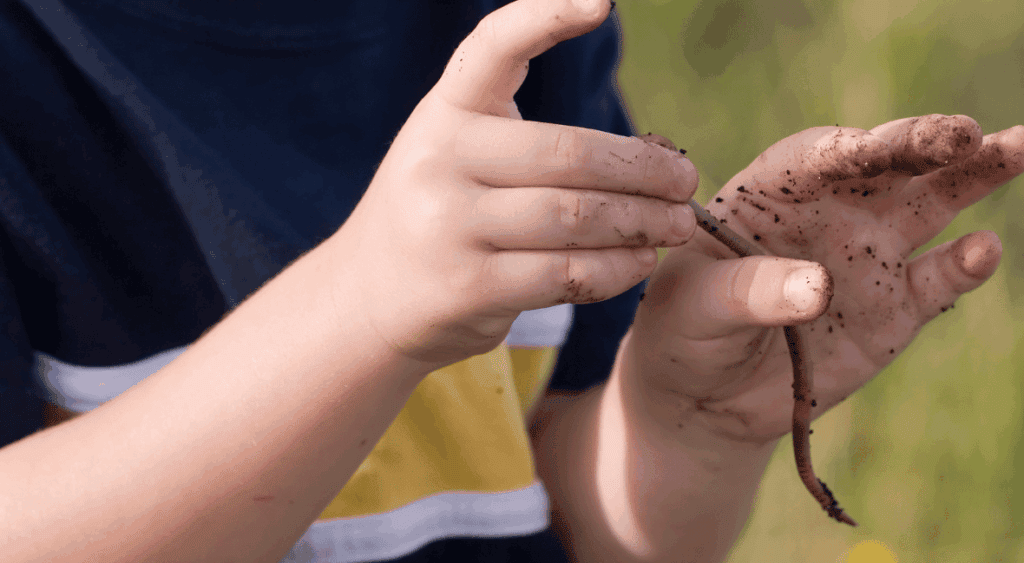bug activities for kids