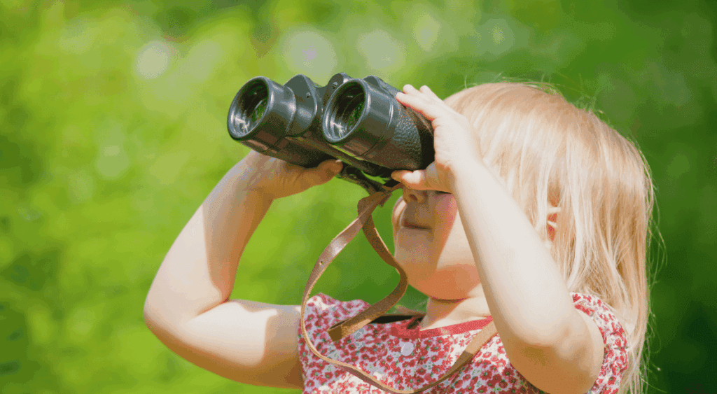 preschool bird activity