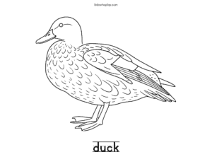 coloring sheet of a duck