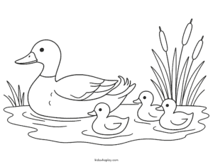 duck coloring book