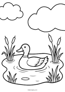 coloring sheet of a duck