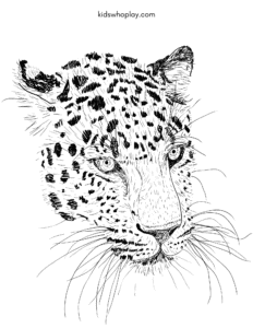 coloring page of a leopard