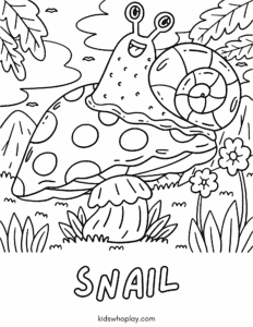 snail worksheet