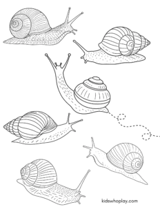 snail coloring page