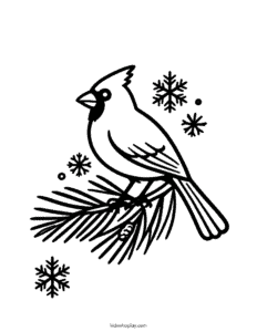 cardinal coloring page