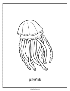 jellyfish coloring sheet for kids