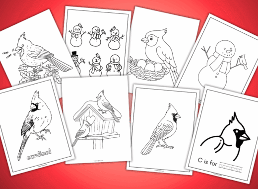 cardinal coloring pages