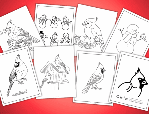 cardinal coloring pages