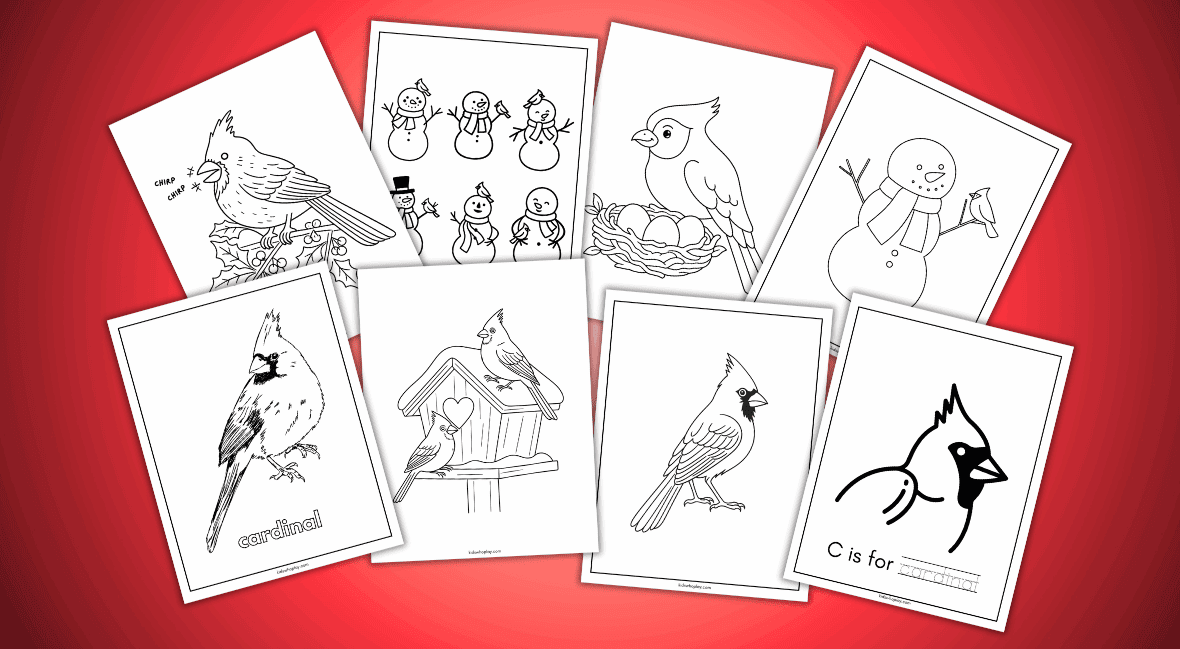 cardinal coloring pages