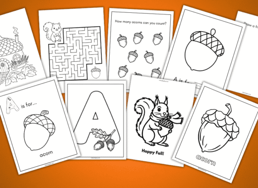 acorn coloring pages