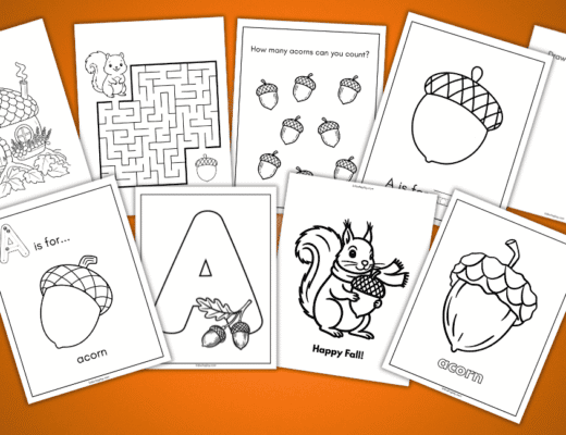 acorn coloring pages
