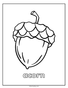acorn coloring page for kids