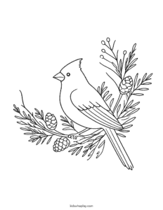 cardinal bird coloring page