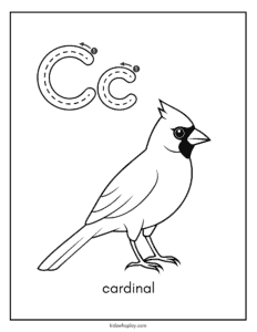cardinal coloring sheet