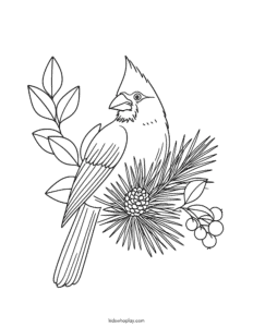 cardinal coloring page