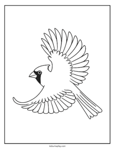 cardinal coloring sheet for kids