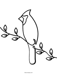 bird coloring page