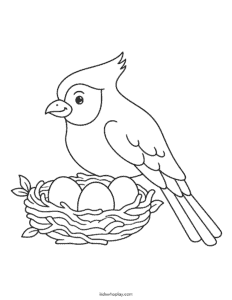 cardinal and nest coloring page