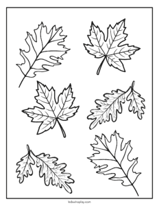 fall leaves coloring page