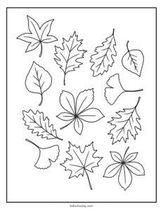 leaf coloring page for kids