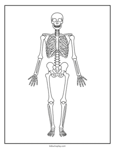 skeleton coloring page 